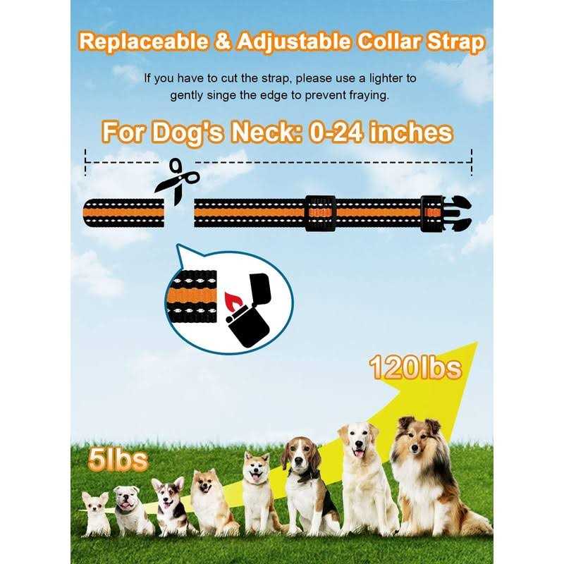 Dog Shock Collar 2 Dogs 3300 ft Waterproof Rechargeable Remote E5338