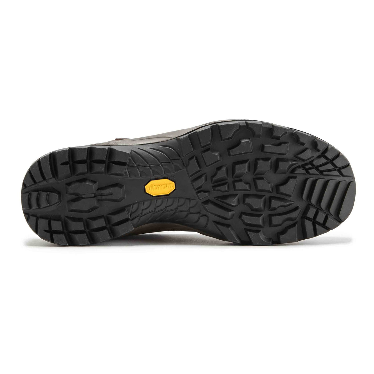 Brown Terra GTX Shoes P44495