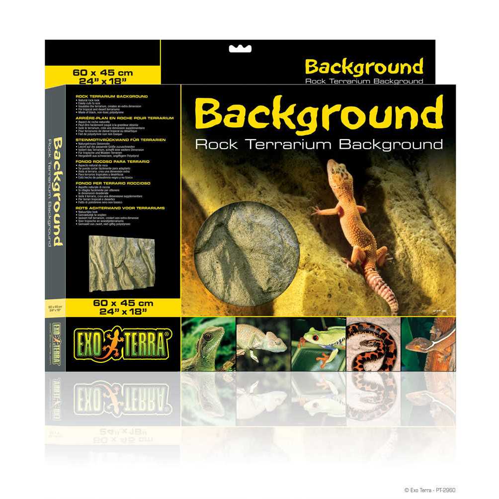Rock Terrarium Background B3862
