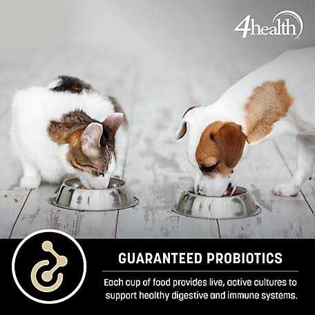 Chicken Formula Dry Dog Food T157931