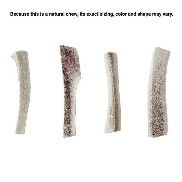 Elk Antler Split Dog Chew M734