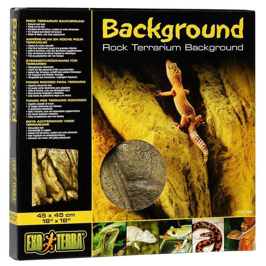 Rock Terrarium Background B3862