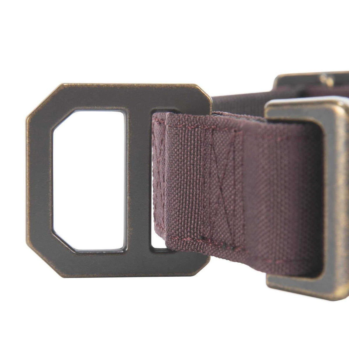 Nylon Dog Collar T3997