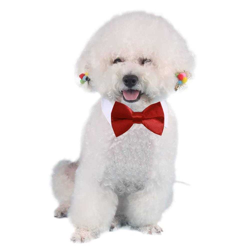 Adjustable Pet Bowtie Collar J69474