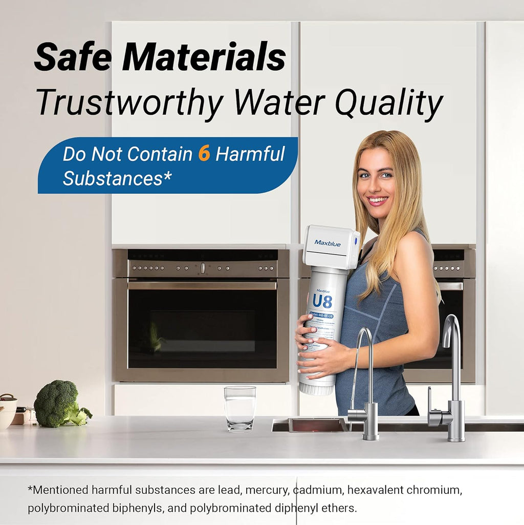 Under Sink Water Filter with Brushed Stainless Steel Faucet E5713
