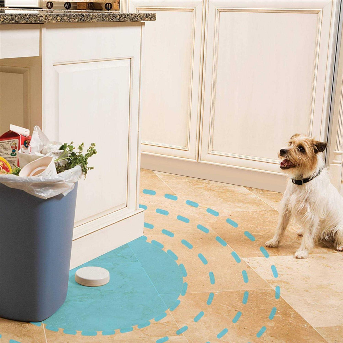 Indoor Pet Barrier A40804