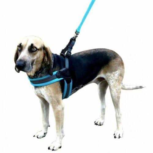 Nylon Mesh Dog Harness Y348