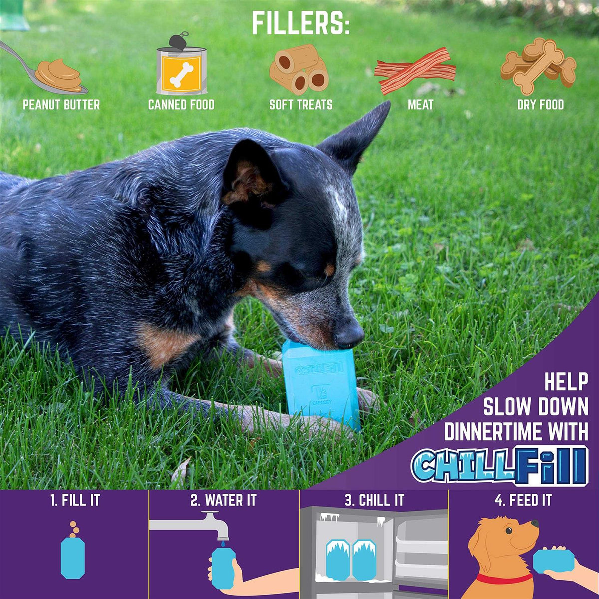 Dog Treat Toy R6117