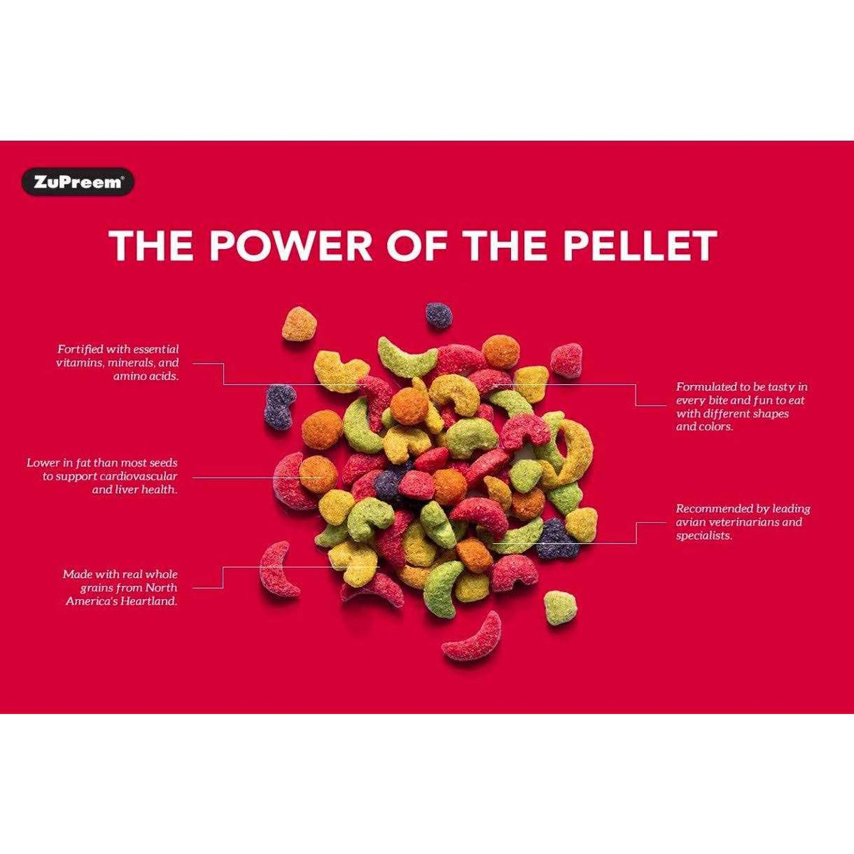 Parrots & Conures Food T36223