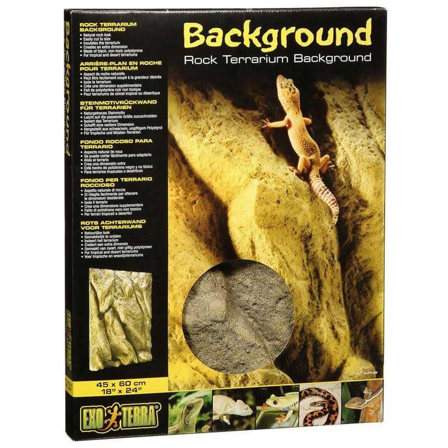 Rock Terrarium Background B3862