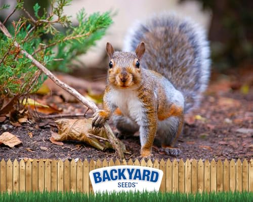 8 lb Squirrel & Chipmunk Food Mix with Sunflower Seeds, Peanuts & Corn D299768