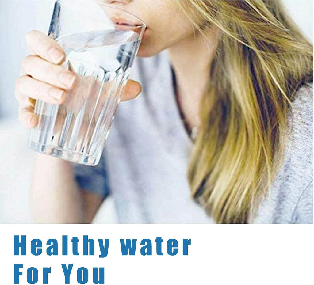 2 Pcs Refrigerator Water Filter I3062