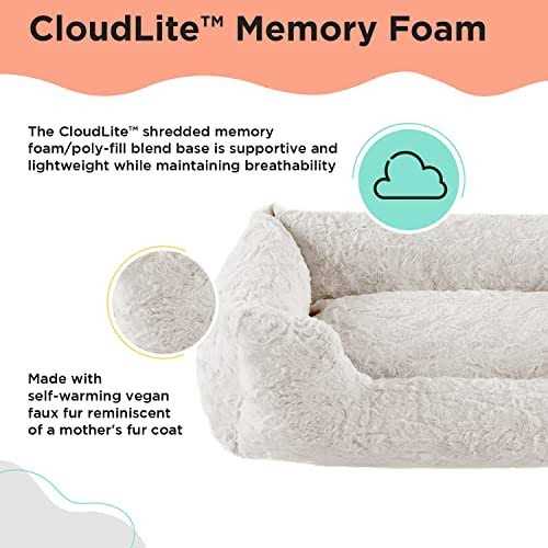 Rectangular Dog Bed W825