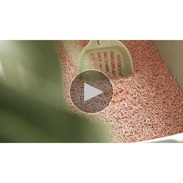 Tofu Cat Litter Clumping H6002