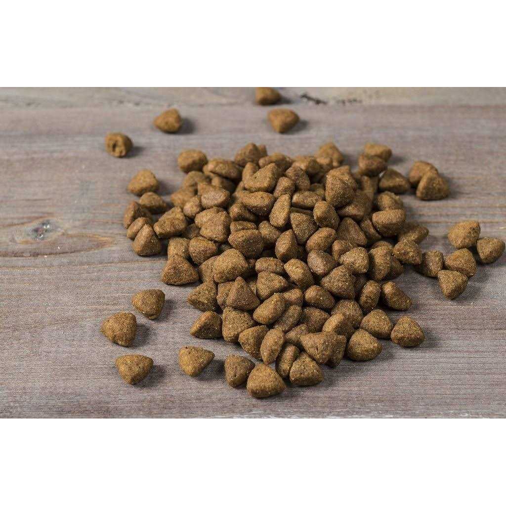 Dry Dog Food J597070