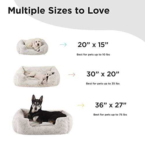 Rectangular Dog Bed W825