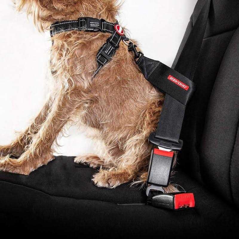 Seat Belt Restraint I831
