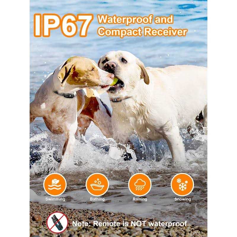 Dog Shock Collar 2 Dogs 3300 ft Waterproof Rechargeable Remote E5338