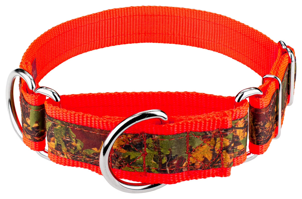 Southern Forest Camo Martingale Dog Collar, 1 1/2 inch, Extra Large N15662