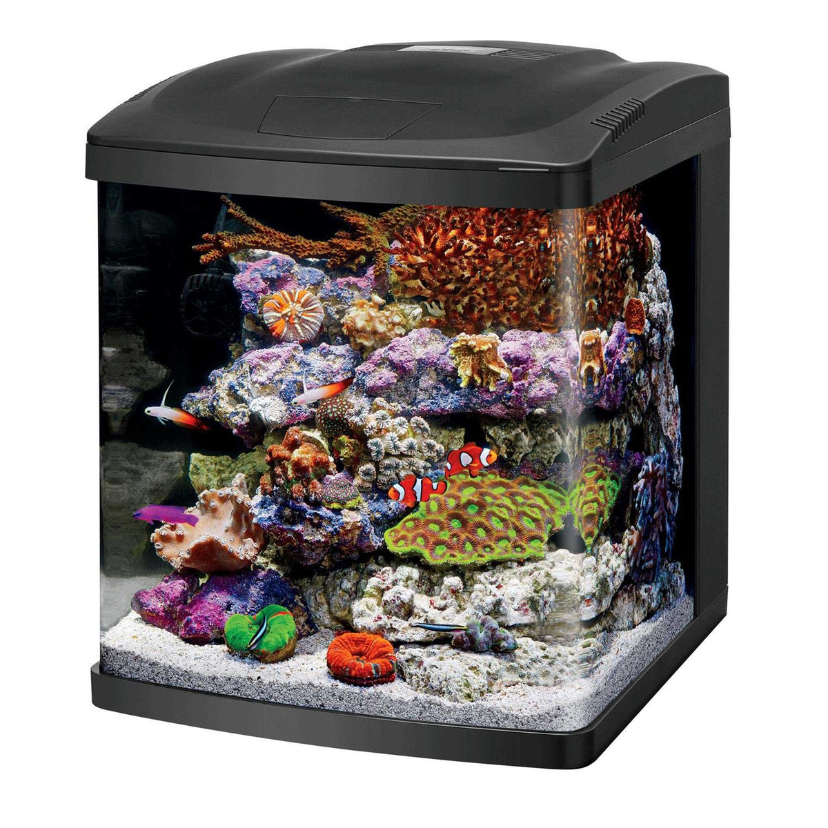 16 Gallon Aquarium Fish Tank Kit B25190
