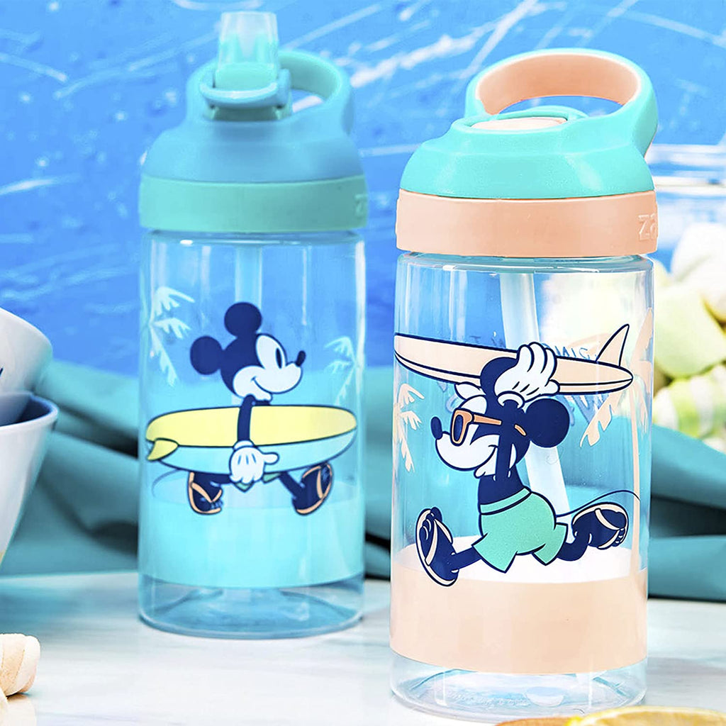 16oz 2 Pieces BPA-Free Plastic Kids Water Bottle with Straw E1292