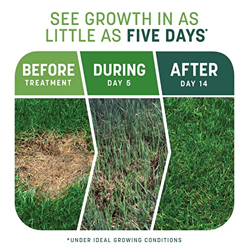 Tall Fescue Mix 10 lb E222
