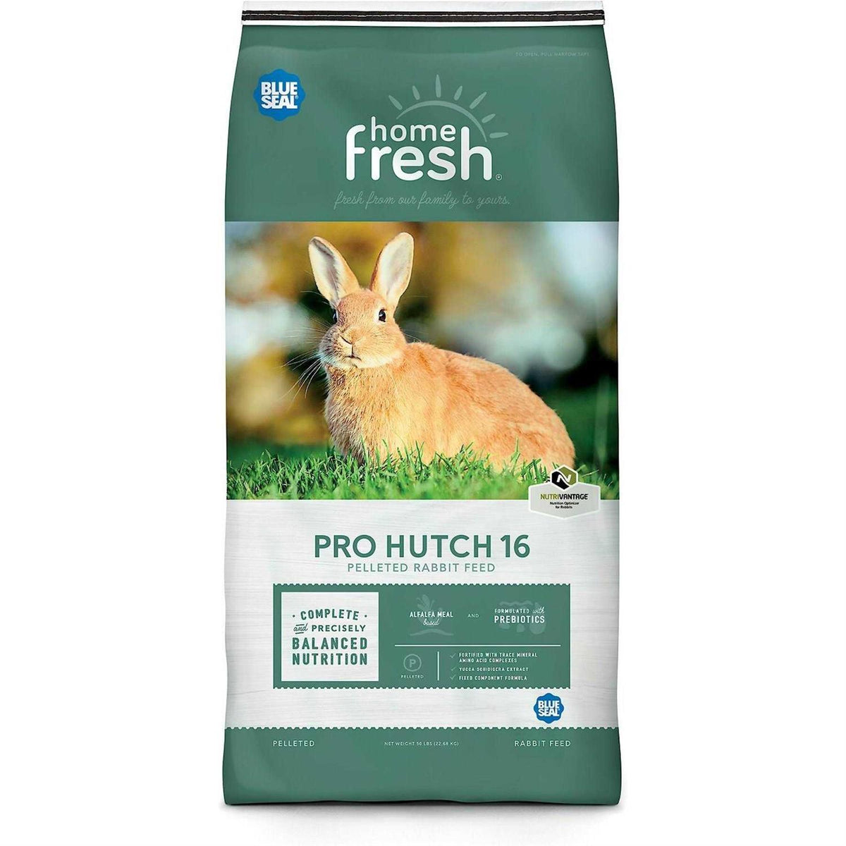 Rabbit Hutch L210971