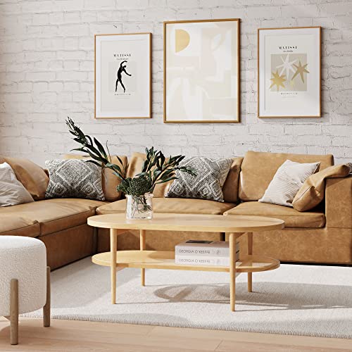 2-Tier Oval Coffee Table with Storage Shelf H3360
