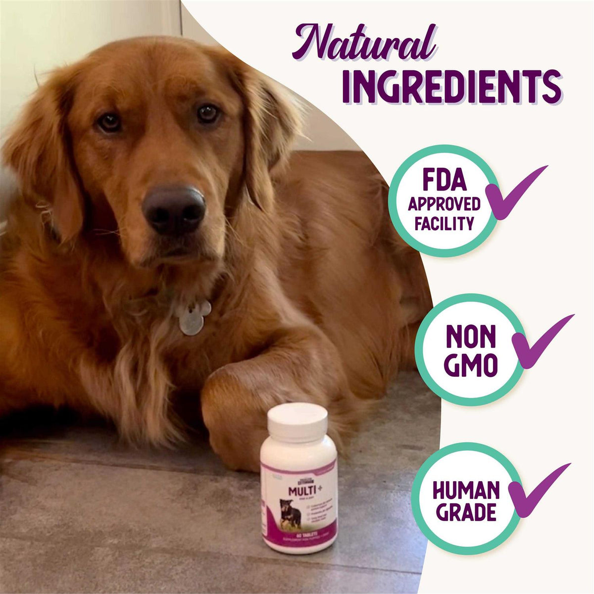 Lifetime Vitamins Q831344