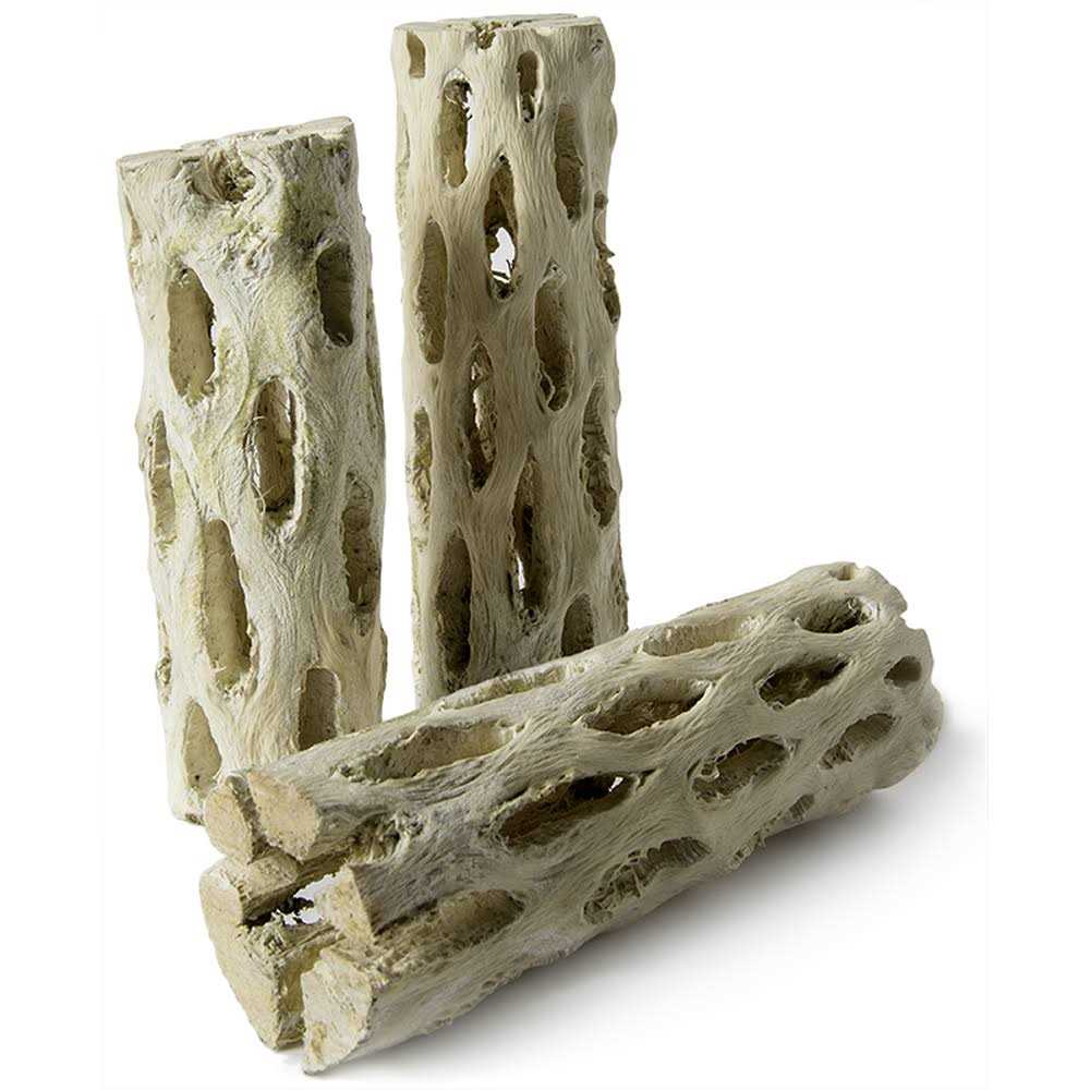 Cholla Wood T950