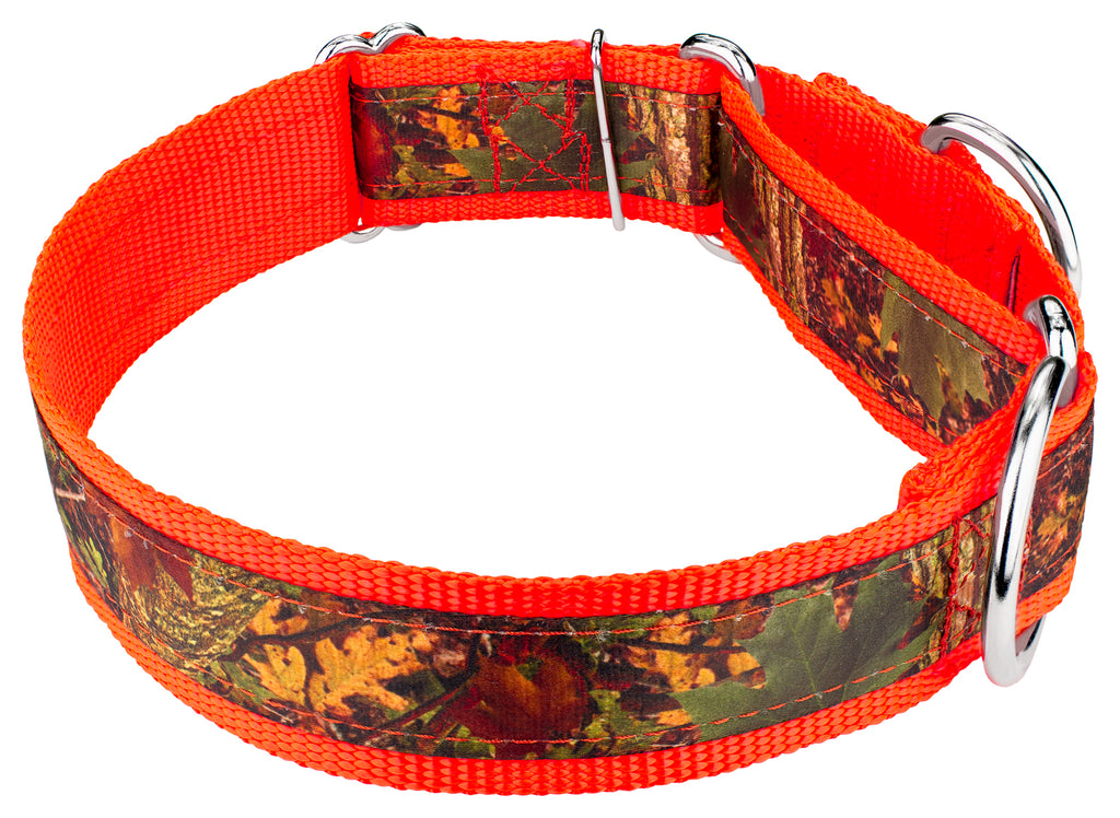 Southern Forest Camo Martingale Dog Collar, 1 1/2 inch, Extra Large N15662