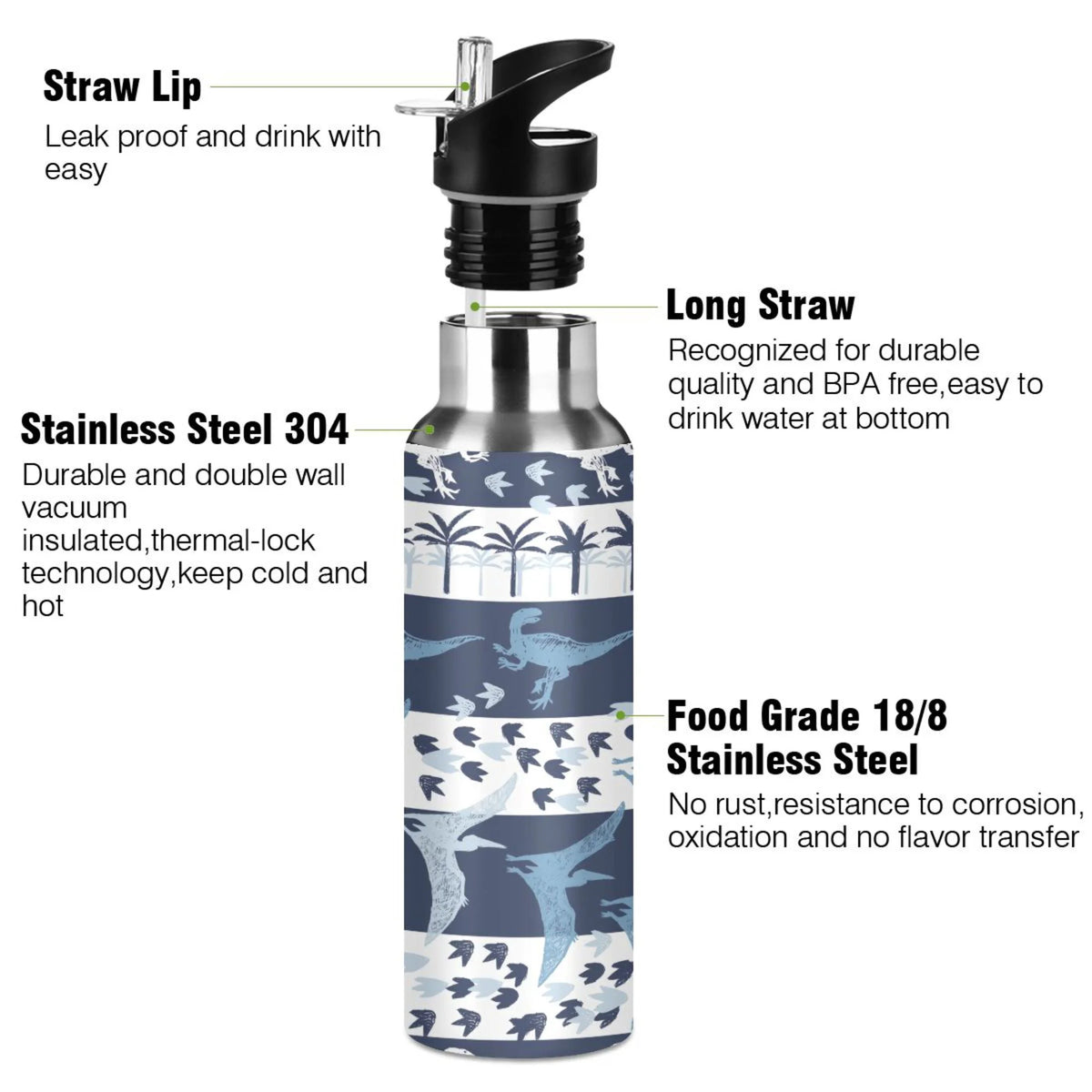 Stainless Steel Insulated Water Bottle with Straw Lid R5045