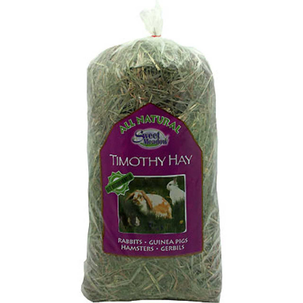 Timothy Hay Z1314