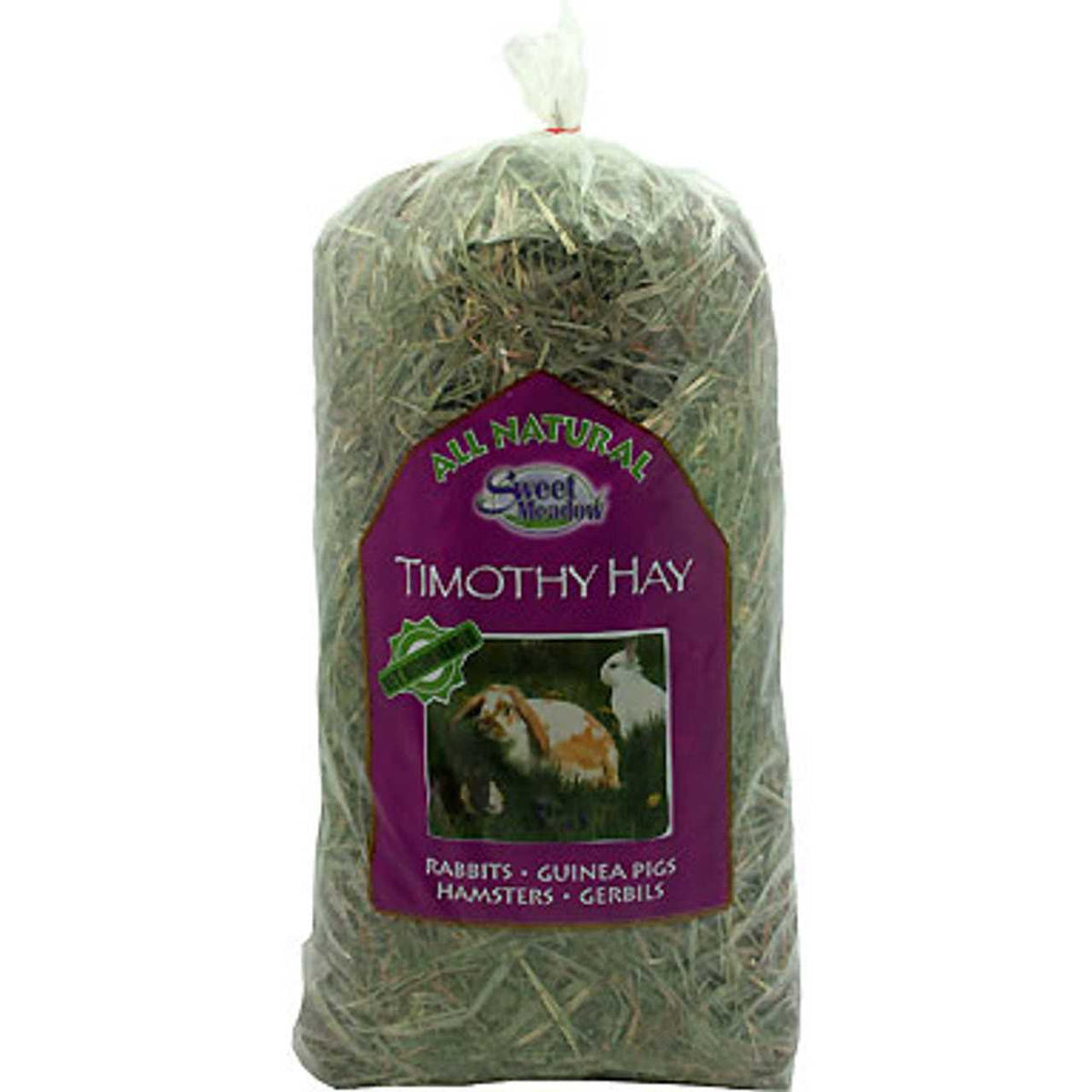 Timothy Hay Z1314