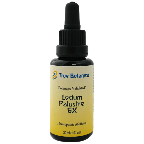 Ledum Palustre 6X 30 mL L725