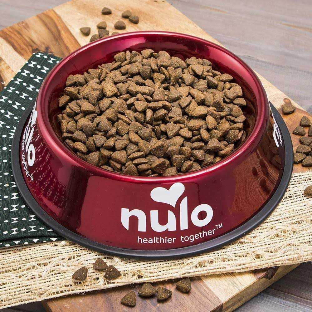 Dry Dog Food J597070