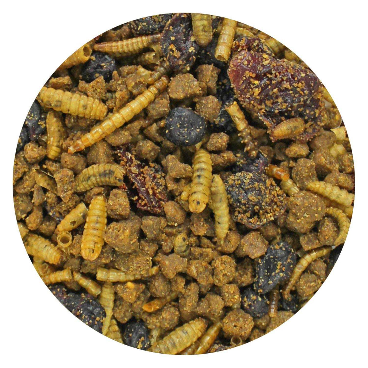 Berries & Bugs Insectivores Food S111883