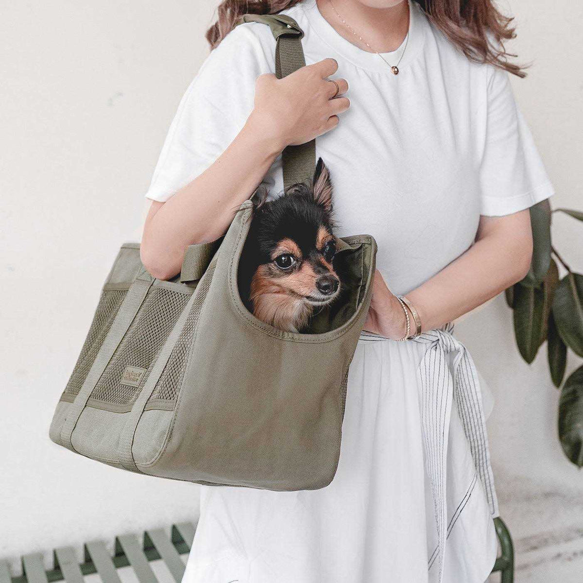 Canvas Lightweight Water Resistant Small Dog Carrier C902529