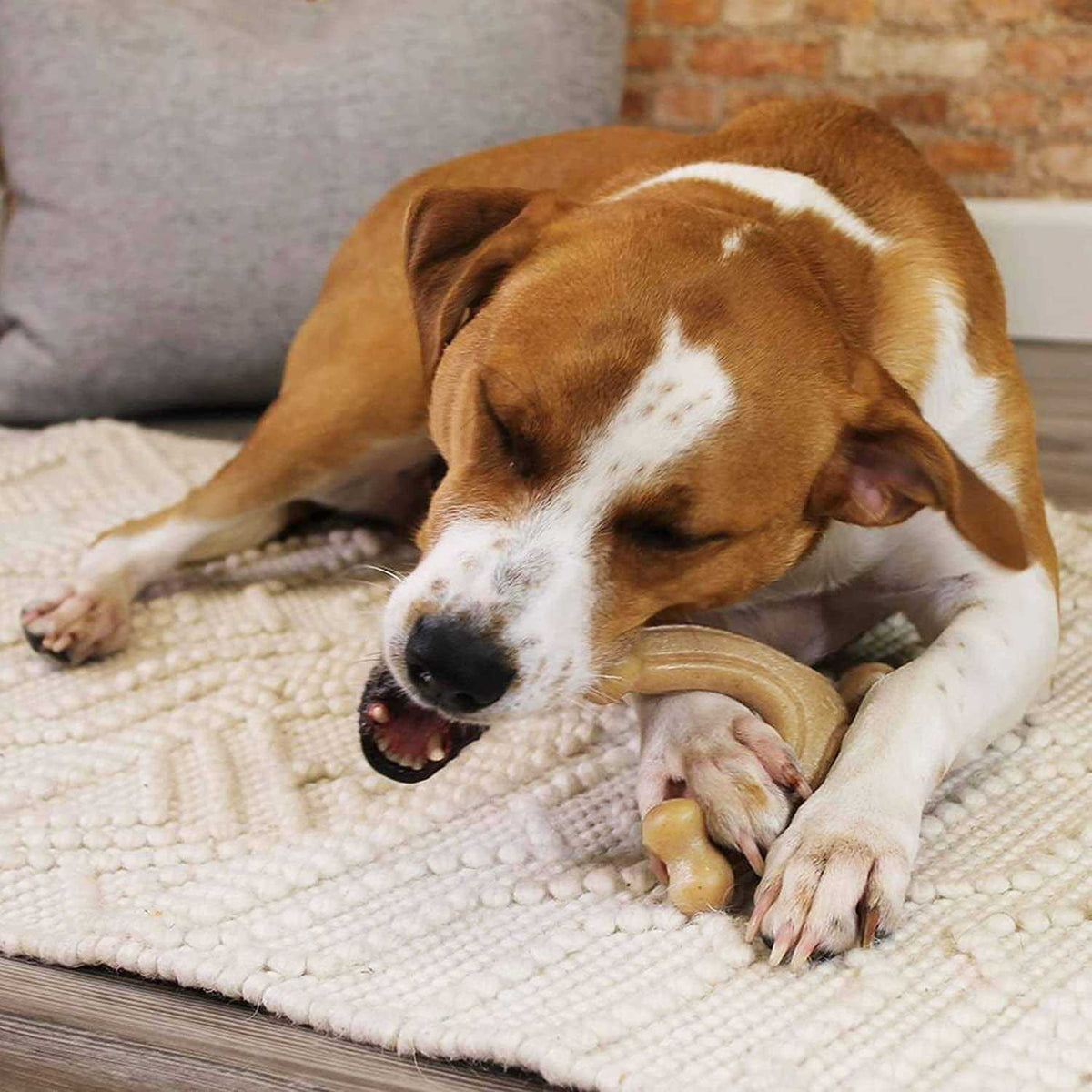 Strong Chew Wishbone Dog Toy I1278