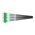 18in 6pk Crossbow Bolts X844222