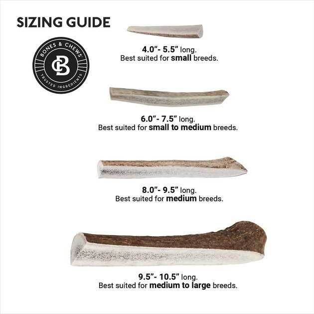 Elk Antler Split Dog Chew M734