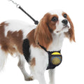 Nylon Mesh Dog Harness Y348