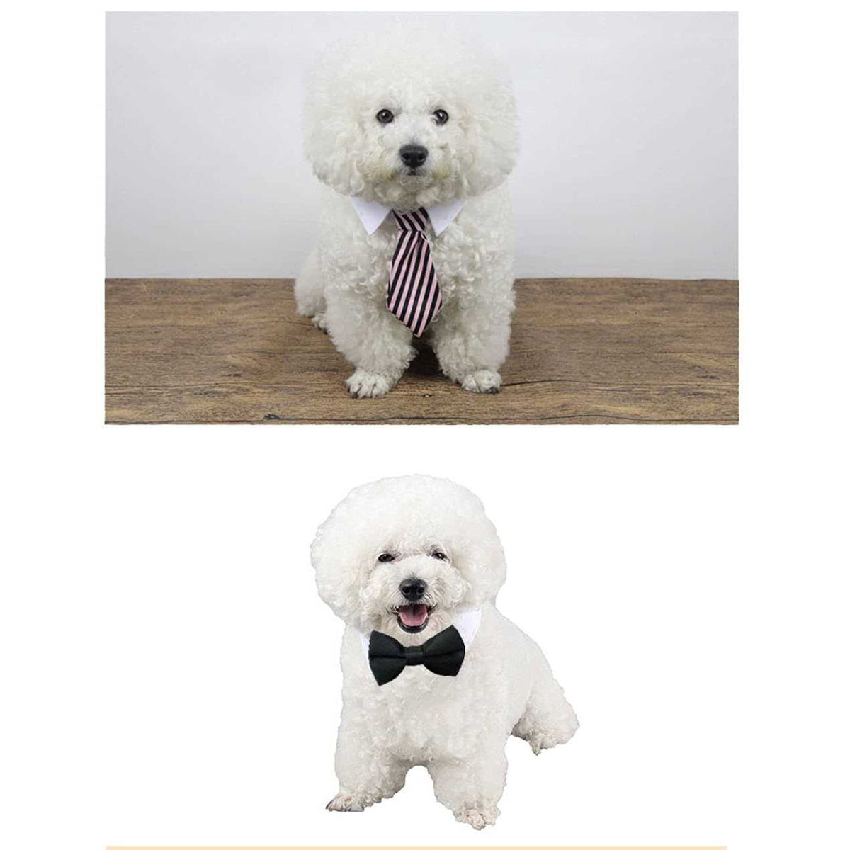 Adjustable Pet Bowtie Collar J69474