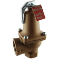 Iron Body Relief Valve with Lever Set A9916